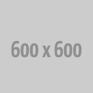 Smart Home Speaker